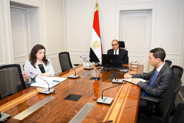 مشاركة المصريين بالخارج تحت الأضواء: وزير الخارجية يبرز الأهمية في الانتخابات المقبلة