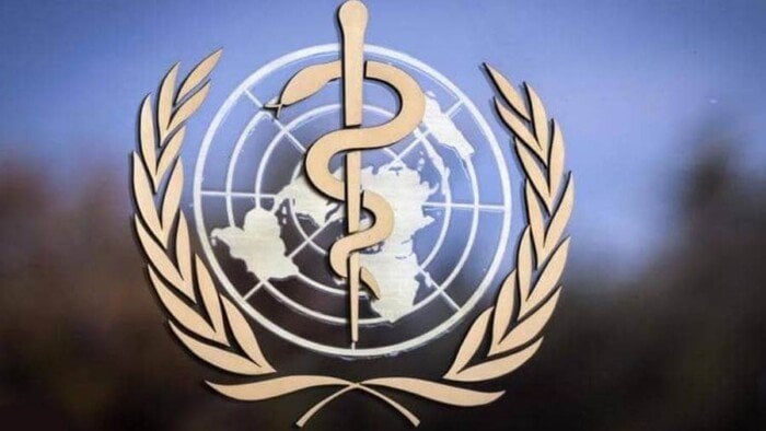 مصر تبرز كقوة صحية في دعم المتأثرين بالنزاعات بالدول المجاورة وفقًا لمنظمة الصحة العالمية