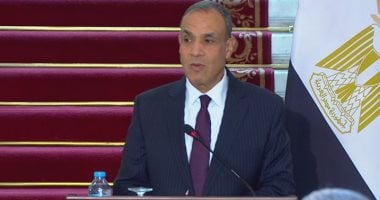 وزير الخارجية بدر عبد العاطي