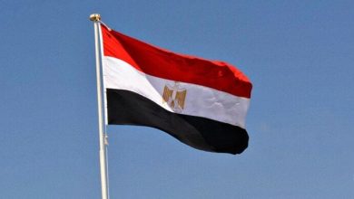 مصر تعبر عن ترحيبها بالبيان الصادر عن 25 دولة بشأن الوضع في الأراضي الفلسطينية المحتلة