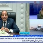 ضياء رشوان: مصر التزمت بـ3 أهداف منذ بدء العدوان.. وموقفها من القضية ثابت