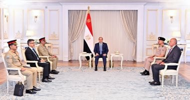 مصر وباكستان تؤكدان ضرورة توسيع الاعتراف بالدولة الفلسطينية المستقلة
