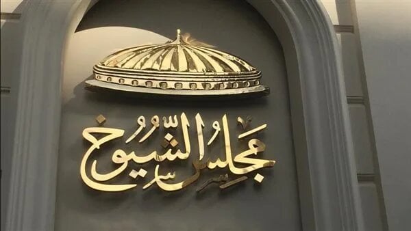 موعد إعلان القوائم النهائية للمرشحين في انتخابات الشيوخ 2025 وبدء الدعاية الانتخابية