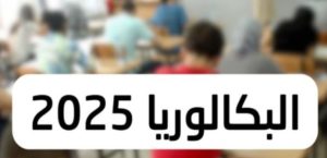 استعلام حصري عن نتائج البكالوريا 2025 في الجزائر عبر موقع الديوان الوطني للامتحانات الموثوق