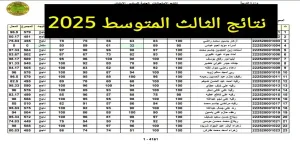 نتائج الثالث المتوسط 2025 الدور الأول بالرقم الامتحاني عبر نتائجنا استعلام سريع وسهل في مصر