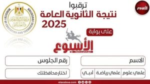 نتائج الثانوية العامة 2025 متاحة الآن عبر بوابة الأسبوع برقم الجلوس