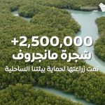 نجاح زراعة 2.5 مليون شجرة مانجروف في المملكة