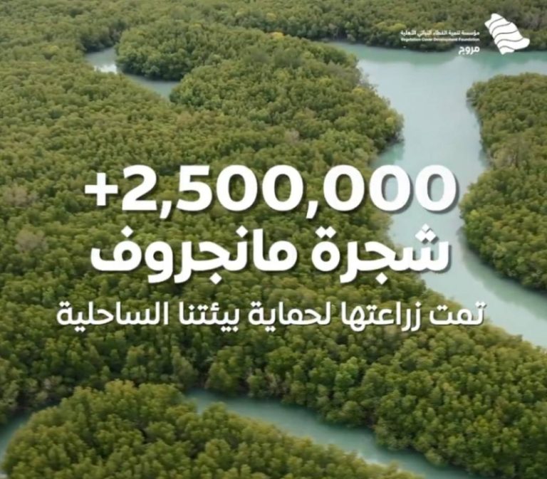 نجاح زراعة 2.5 مليون شجرة مانجروف في المملكة
