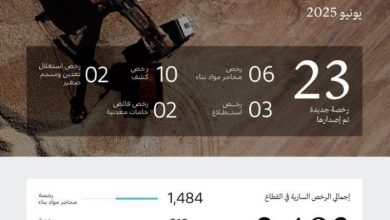 وزارة الصناعة والثروة المعدنية تُصدر 23 رخصة جديدة للتعدين في يونيو 2025.