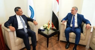 وزير البترول يناقش تعاون الغاز والكربون مع رئيس إنرجين
