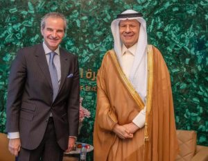 وزير الطاقة يلتقي مدير الوكالة الذرية لمناقشة سبل التعاون الفني والتقني المشترك.