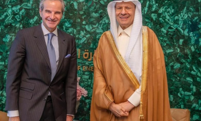 وزير الطاقة يلتقي مدير الوكالة الذرية لمناقشة سبل التعاون الفني والتقني المشترك.