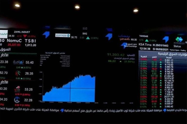 13 مليون محفظة استثمارية للأفراد تعزز نمو سوق الأسهم وتوسعت فرص الاستثمار.