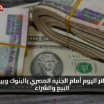 بعض تراجع سعر الدولار اليوم مقابل الجنيه المصري اليوم السبت 2 اغسطس 2025 في السوق السوداء وبالبنوك وبيان أسعار البيع والشراء