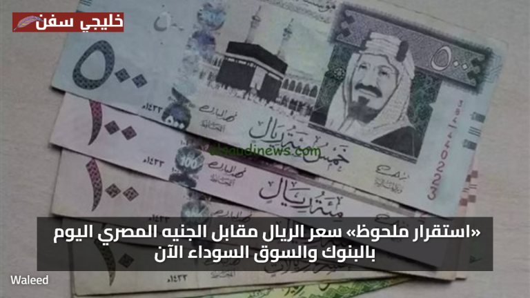 «استقرار ملحوظ» سعر الريال مقابل الجنيه المصري اليوم بالبنوك والسوق السوداء الآن
