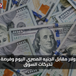 بعد فترة تقلبات.. سعر الدولار يستقر مقابل الجنيه المصري اليوم الاحد 3 اغسطس 2025 ومتابعة حذرة للأسواق