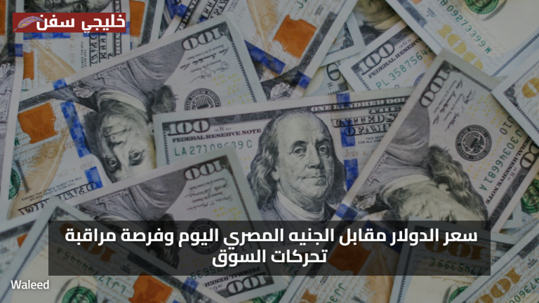 بعد فترة تقلبات.. سعر الدولار يستقر مقابل الجنيه المصري اليوم الاحد 3 اغسطس 2025 ومتابعة حذرة للأسواق