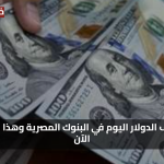 استقرار لافت سعر الدولار اليوم بالبنوك المصرية وسط تحركات محدودة في السوق الرسمي