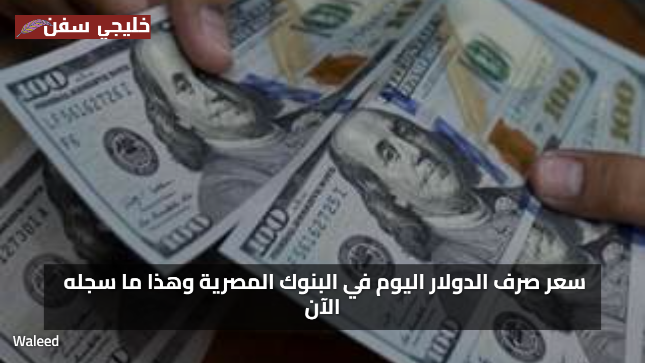 استقرار لافت سعر الدولار اليوم بالبنوك المصرية وسط تحركات محدودة في السوق الرسمي