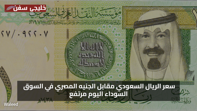 «فرصة مميزة» سعر الريال السعودي مقابل الجنيه المصري في السوق السوداء اليوم مرتفع