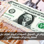 تحركات مفاجئة: سعر الدولار اليوم في السوق السوداء والبنوك المصرية يشهد تغيرات سريعة بأسعار الصرف الآن