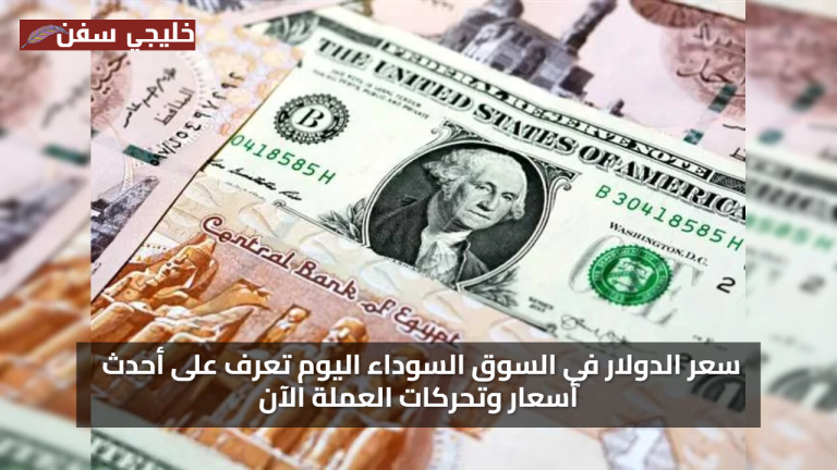 تحركات مفاجئة: سعر الدولار اليوم في السوق السوداء والبنوك المصرية يشهد تغيرات سريعة بأسعار الصرف الآن