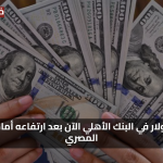 مفاجأة اليوم: ارتفاع سعر الدولار أمام الجنيه داخل البنك الأهلي الخميس 7 أغسطس 2025