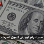 «ثبات نسبي»{سعر الدولار اليوم في السوق السوداء} يسجل 48.9 جنيه وتوقعات للتثبيت