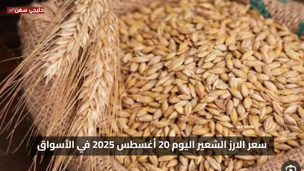 قفزة جديدة.. سعر الارز الشعير اليوم 20 أغسطس 2025 في الأسواق المحلية وتحديثات أسعار الطن والكيلو