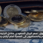 فرق السوق.. سعر الريال السعودي مقابل الجنيه المصري اليوم والمسافرون إلى العمرة أمام أرقام جديدة