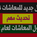 15٪ زيادة.. تفاصيل جدول معاشات 2025 الجديدة لجميع الشرائح والمبالغ المستحقة بعد التعديلات الأخيرة
