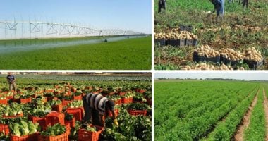 680 ألف عميل يستفيدون من تمويلات متناهية الصغر لمشروعات زراعية بقيمة 15.5 مليار جنيه