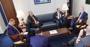وزير الخارجية يشدد على التزام مصر الكامل بحل الدولتين