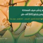 الشمام يحلق بالصيف في المملكة بإنتاج وفير يتجاوز 63 ألف طن سنويًا