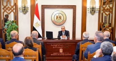 وزير الخارجية: المصلحة الوطنية المرجعية الأساسية فى رسم تحركات السياسة الخارجية المصرية