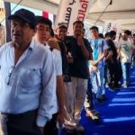 بدء التصويت بلجان مدينتى والشروق فى اليوم الأول بانتخابات مجلس الشيوخ