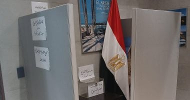 انتخابات مجلس الشيوخ فى الخارج
