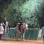 بعثة «فروسية الأولمبياد الخاص» تطير إلى أبوظبي غدا للمشاركة في مسابقة الفروسية الإقليمية
