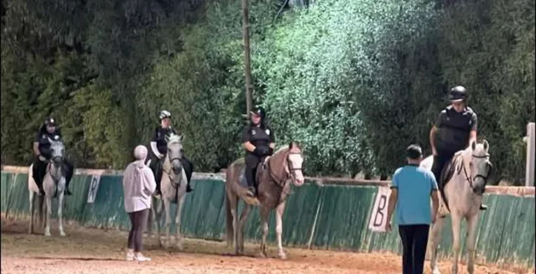 بعثة «فروسية الأولمبياد الخاص» تطير إلى أبوظبي غدا للمشاركة في مسابقة الفروسية الإقليمية