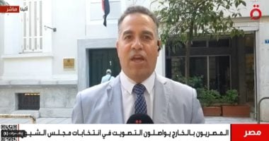 ارتفاع الإقبال من المصريين فى اليونان على انتخابات مجلس الشيوخ 