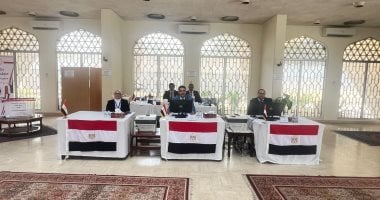 بدء التصويت فى انتخابات مجلس الشيوخ بسفارات مصر بالسعودية والكويت والأردن