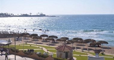تطورات مثيرة في المعمورة بالإسكندرية: 8 معلومات رئيسية حول خطة تطوير المنطقة