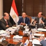 تعاون جديد بين وزيرى المالية وقطاع الأعمال العام في ملفات استراتيجية متعددة