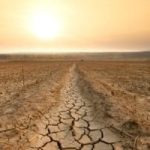 دراسة: تغير المناخ يؤدى إلى زيادة كبيرة فى الطحالب ببحيرات كندا