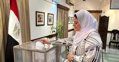 المصريون بالهند يواصلون التوافد على مقر السفارة بنيودلهى للمشاركة بانتخابات الشيوخ