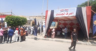 توافد الناخبين بجدية في انتخابات الشيوخ بمدينة 15 مايو