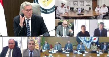 زيادة الإنتاج تضمن الأمن الطاقي في مصر