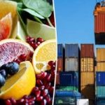 زيادة ملحوظة في صادرات الأغذية تصل إلى 3.3 مليار دولار خلال النصف الأول من 2025