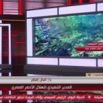الهلال الأحمر المصرى: 36 ألف شاحنة مساعدات دخلت من مصر إلى غزة منذ أكتوبر 2023