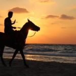 جمال شاطئ العريش.. لحظة غروب الشمس وذوبانها فى البحر كأجمل وداع.. صور